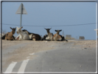 foto Karpathos